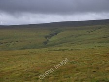 Foto 6x4 Deckenmoor an Hängen