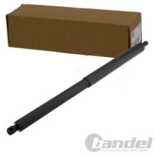 NTY GASFEDER KOFFERRAUM-LIFTER HINTEN RECHTS PASSEND FÜR FORD USA EDGE |