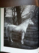 1955 Liebesbriefe um arabische