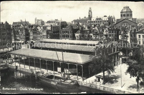 Rotterdam zuid holland - rotterdam,