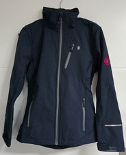 Little Donkey Andy Damen