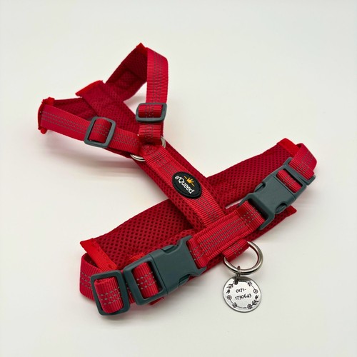 Hundegeschirr gravierte - y-hundegeschirr, +