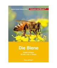 Die Biene - Kopiervorlagen