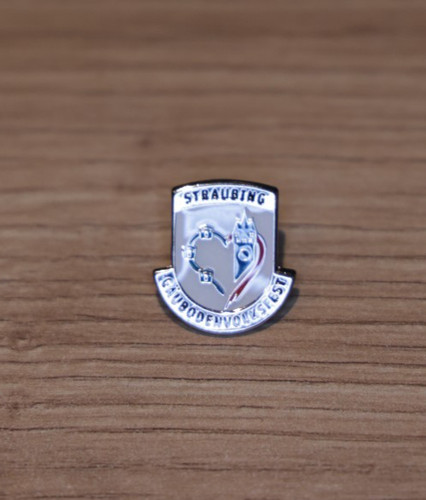 Pin straubing - pin,