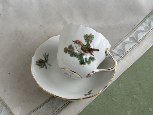 Schöne meissen moccatasse - moccatasse, mit
