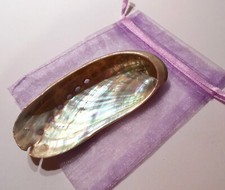 Glücksmuschel muschel - 1,