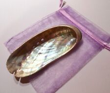 1 Glücksmuschel Muschel ~ Talismane ~ Seemuschel ~ Seeohr ~ Abalone ~ Seeopal