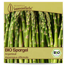 BIO Spargel Samen Argenteuil Gemüse-Samen Saatgut Spargelsamen