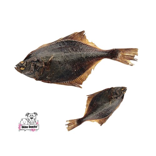 Flunder getrocknet - flunder, |