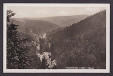 Alte AK Friedrichroda Grundtal