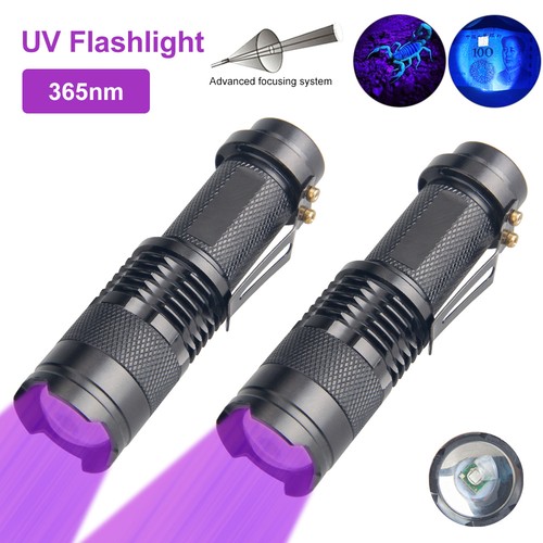 Taschenlampe schwarzlicht - uv,