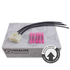 OEM STECKER KABELBAUM