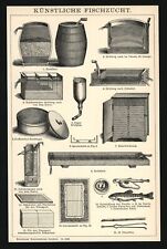 Druck anno 1898 - Aquakultur Fischzucht Forellen Züchter Teichwirtschaft