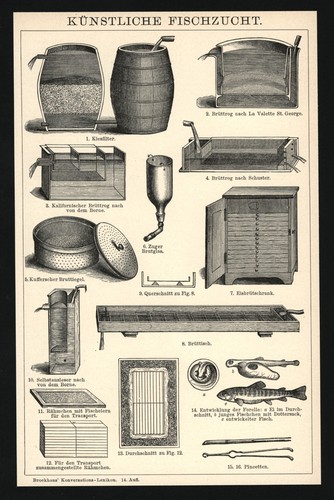 Druck anno 1898 aquakultur - 1898,