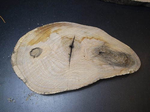 Eiche diy baumscheibe ca - baumscheibe,