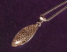 Anhänger Versteinerte