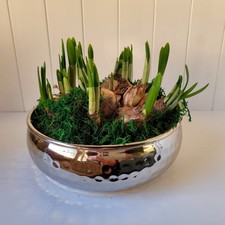 Schale Dekoschale Blumenschale