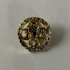 DOSB-Abzeichen Gold, Pin