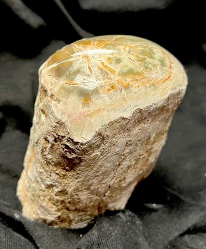 Versteinertes holz eine seite - holz,
