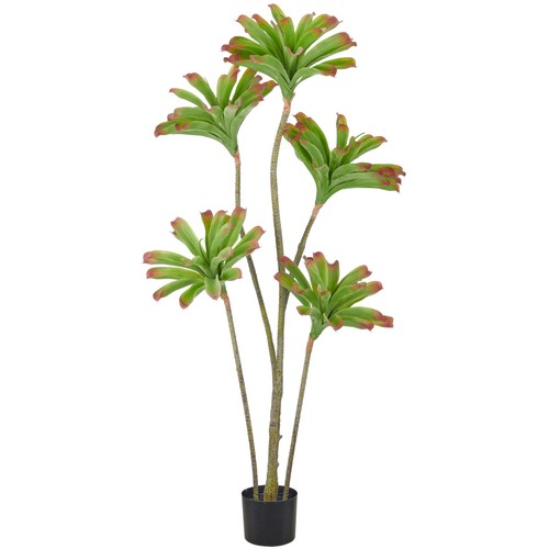Kunstpflanze aeonium arboreum - aeonium,