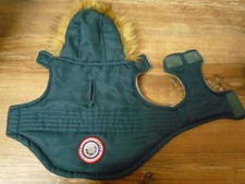 Chihuahua kleidung - chihuahua,