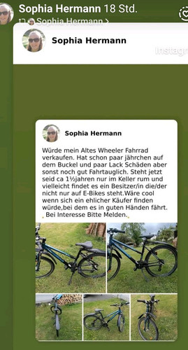 Wheeler trekkingrad federgabel - wheeler,