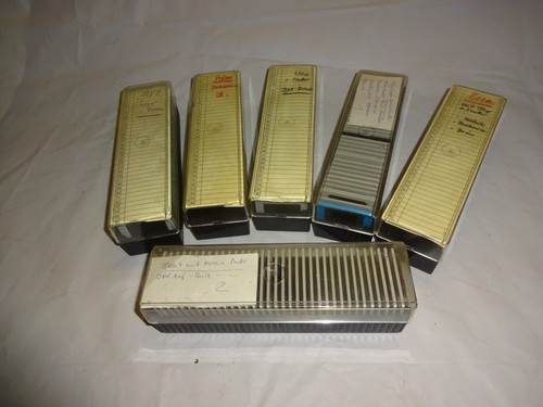 Ddr dias sammlung grosse - 6, x