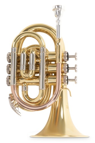 Roy benson 302 - roy,