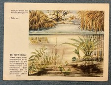 Natur-Bilder + Berliner