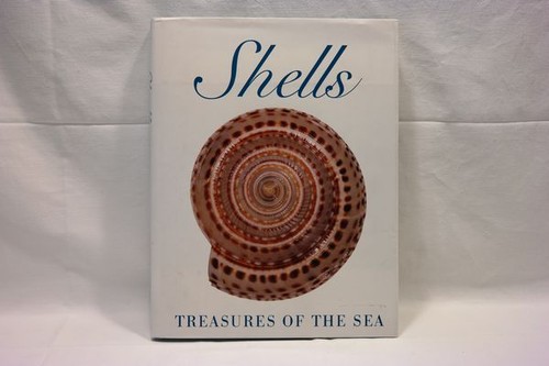 Shells treasures of the - shells,