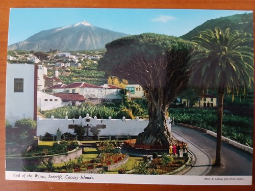 Postkarte 2305 nicht gelaufen