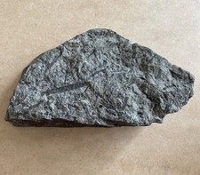 Gestein mit Pflanzenresten