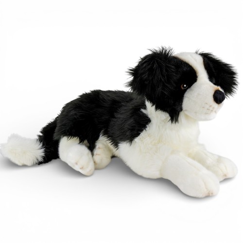 Carl dick border collie - border,