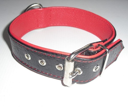 Hundehalsband 5cm breit - hundehalsband,