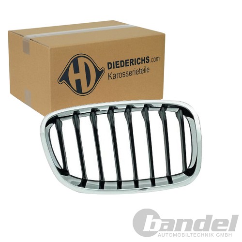 Diederichs kühlergrill niere - kÜhlergrill,