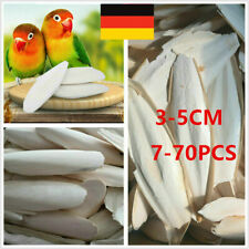 10-70 Stks Tintenfisch Knochen Sepia Tintenfisch Haustier Vogelfutter Kalzium DE