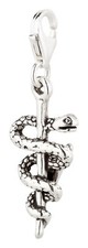 Charm / Anhänger Tierarzt