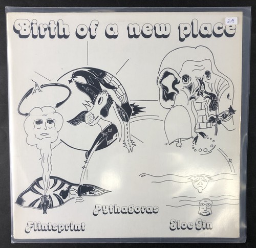 Birth new place - 12''lp, of
