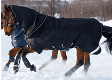 Horseware Amigo Super Bravo Plus Gr. 155 (6'9) Outdoordecke medium 250g