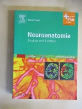 Neuroanatomie: Struktur und