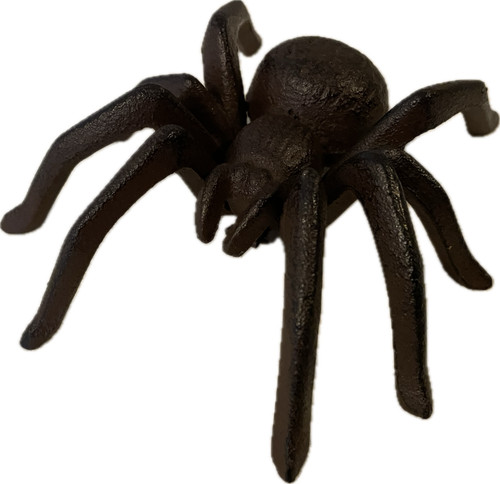 Gusseisen spinne vogelspinne - spinne,
