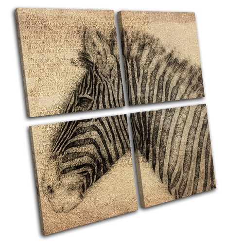 Zebra sketch aged - sketch, animals