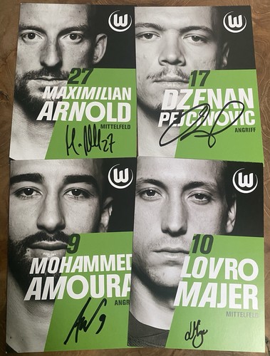 Vfl wolfsburg handsignierte - wolfsburg,