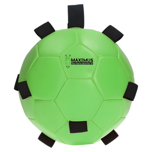 Maximus fun play - maximus,