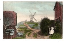 Oxfordshire. Brennnesselbett