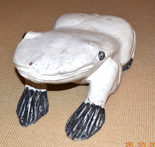 Großer alter Frosch