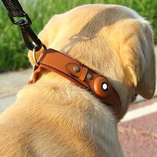 GPS - Hundehalsband Tracker -