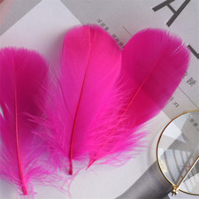 100X Schwimmende Gänsefedern