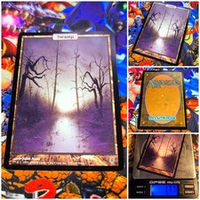 MTG Swamp ?? NM Legendary John Avon Full-Art Basics Unhinged 2004 OG