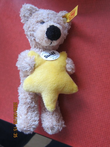 Steiff 901249 teddy fynn - 901249,